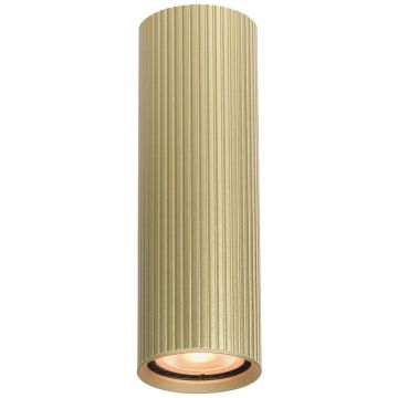 Italux Rilok CLN-83920-M-GD Повърхностно светило 1x10W/GU10 IP20