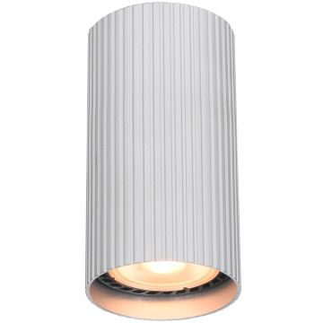 Italux Rilok CLN-83920-S-ALU Повърхностно светило 1x10W/GU10 IP20