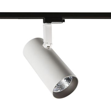 Italux Russo L 4000K TL7557/40W 4000K WH+GR Шинен фар 1x40W/LED 4000K 3180lm IP20