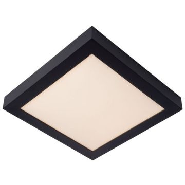 Lucide BRICE-LED 28117/30/30 Таванна лампа 1x30w/led 3000k 1727lm ip44