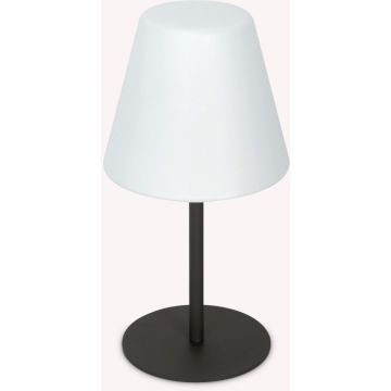 Ideal Lux ARCADIA 298597 Масичка лампа 1x42W/E27 ip44