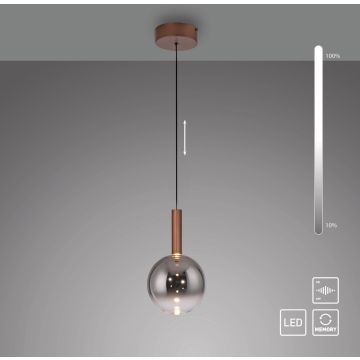 Paul Neuhaus BOWL 2284-23 Висяща лампа 1x7,4W/LED 2700k 300lm ip20