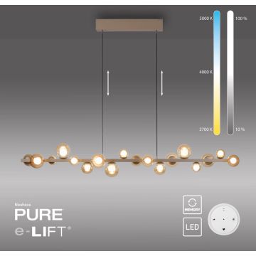 Paul Neuhaus PURE E-POPUP 2558-97 Висяща лампа 18x1,8W/LED 2200-5000k 2230lm ip20