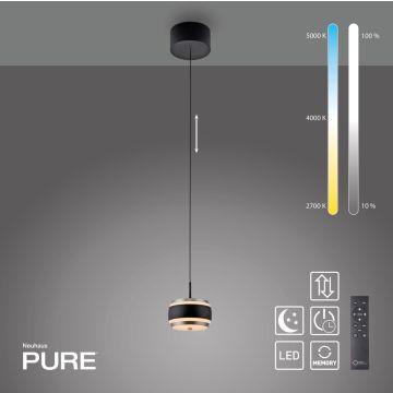 Paul Neuhaus PURE FALLING RINGS 2503-18 Висяща лампа 1x8W/LED 2200-5000k 310lm ip20