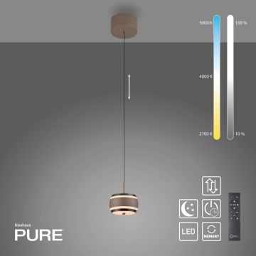 Paul Neuhaus PURE FALLING RINGS 2503-97 Висяща лампа 1x8W/LED 2200-5000k 310lm ip20