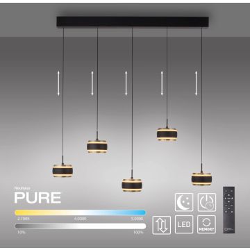 Paul Neuhaus PURE FALLING RINGS 2504-18 Висяща лампа 5x8W/LED 2200-5000k 1500lm ip20
