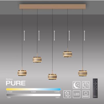 Paul Neuhaus PURE FALLING RINGS 2504-97 Висяща лампа 5x8W/LED 2200-5000k 1500lm ip20