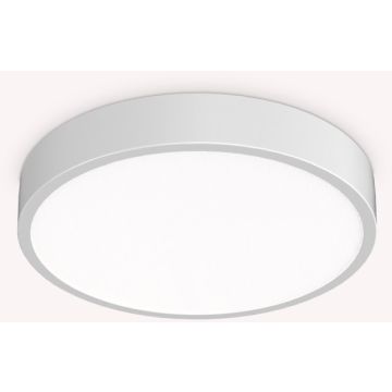 Ideal Lux RAY 318264 Таванен светилник 1x26W/LED ip44