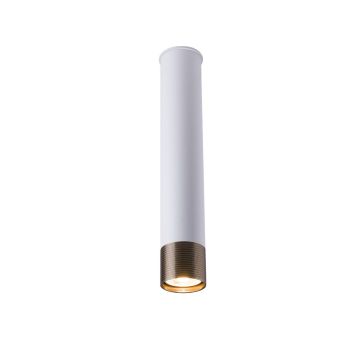 Antigo Eido 8251 Повърхностно светило 1x10W/GU10 IP20