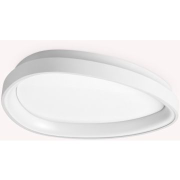 Ideal Lux GEMINI 328010 Таванна лампа 1x24W/LED 3000K ip20