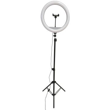 Polux SELFIE 327598 Бюро лампа 1x15W/LED 2700K-4000K-6000K 330lm IP20