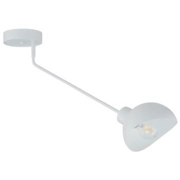 Sigma Lighting Roy 32428 Таванна лампа 1x15W/E27 IP20
