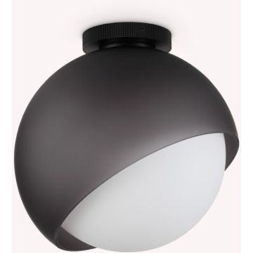 Ideal Lux BLOOM 366609 Таванна лампа 1x42W/E27 ip20