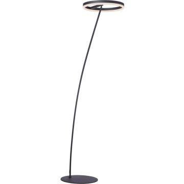 Paul Neuhaus TITUS 381-13 Стойка лампа 1x23,5W/LED 2570lm ip20