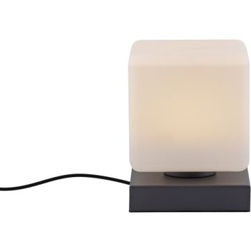 Paul Neuhaus DADOA 4036-13 Масичка лампа 1x7W/LED 3000k 580lm ip20