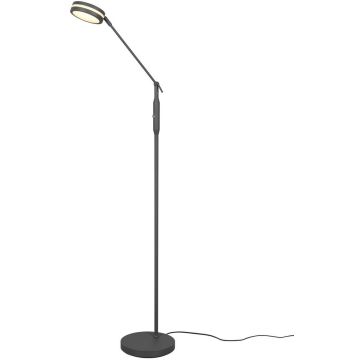 Trio FRANKLIN 426510142 Стойка лампа 1x6w/led 2700+3200+4000k 650lm ip20