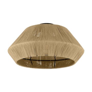 Eglo ALDERNEY 43784 Таванен светилник 1x40W/E27 IP20