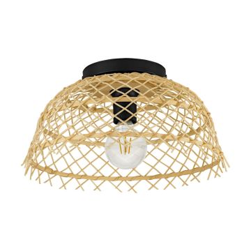 Eglo AUSNBY 43831 Таванен светилник 1x40W/E27 IP20