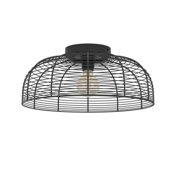 Eglo RINROE 43896 Таванна лампа 1x40W/E27 ip20