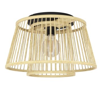 Eglo HYKEHAM 43851 Таванен светилник 1x40W/E27 ip20