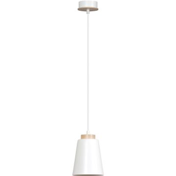 Emibig BOLERO 443/1 Висяща лампа 1x60W/E27 IP20