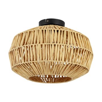 Eglo SHELDON 44142 Таванна лампа 1x40W/E27 ip20