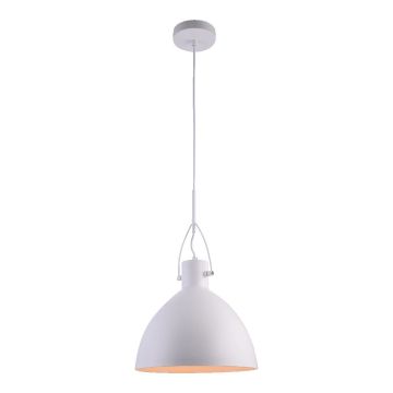 Prezent ANDROS II. 46301 Висяща лампа 1x40W/E27 IP20