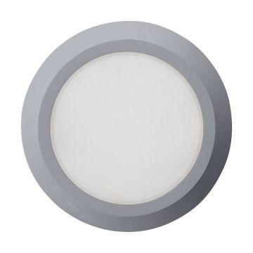 Prezent RADIX I. 48316 Таванен светилник 1x3W/LED IP65
