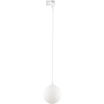 TK Lighting TRACER 4886 Шинен фар 1x8W/G9 IP20