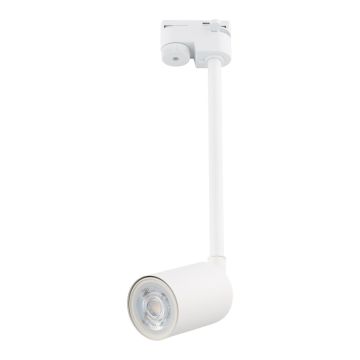 TK Lighting TRACER 4888 Шинен фар 1x10W/GU10 IP20