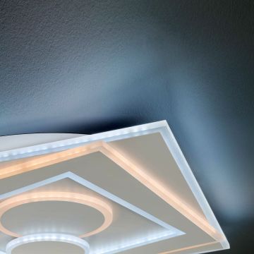 Fischer&Honsel Ratio 20136 Таванен светилник 1x48W/LED 2700K 4600 lm IP20