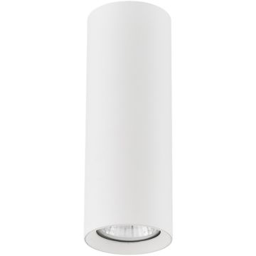 Alfa ARTEMIS 59024 Повърхностно светило 1x10W/GU10