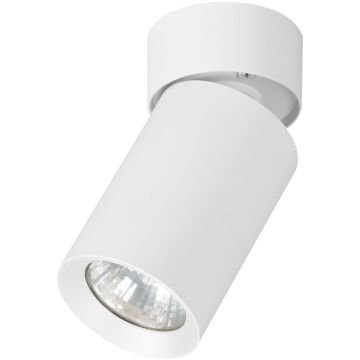 Alfa FLEX 59026 Повърхностно светило 1x10W/GU10