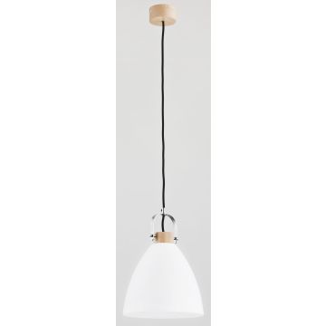 Alfa HERMINA 60365 Висяща лампа 1x60W/E27 IP20