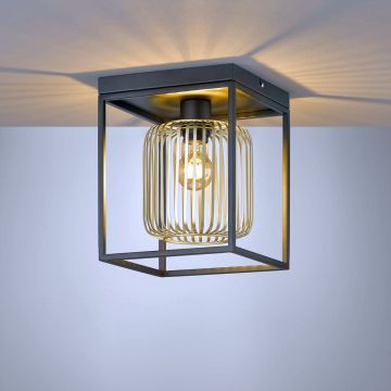 Fischer&Honsel Caydo 21294 Таванна лампа 1x40W/E27 IP20