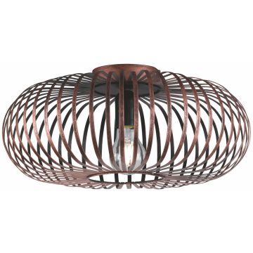 Trio JOHANN 606900162 Таванна лампа 1x60w/e27 ip20