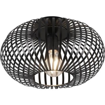 Trio JOHANN 606903032 Таванна лампа 1x60w/e27 ip20