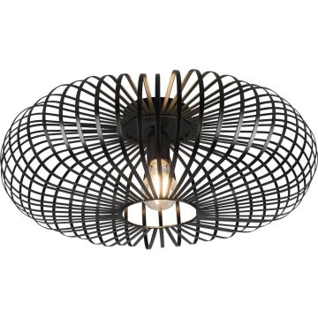 Trio JOHANN 606905032 Таванна лампа 1x60w/e27 ip20