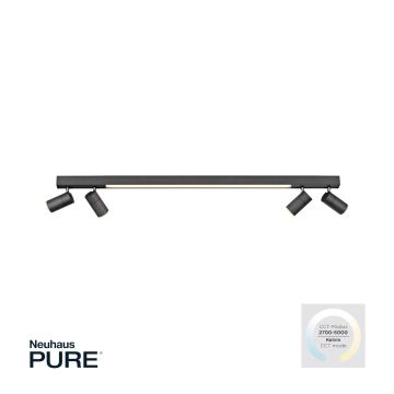 Paul Neuhaus PURE-LINE 6121-13 Спот 5x4W/LED CCT 2700K-3000K 1280LM IP20
