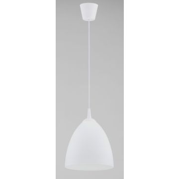Alfa LERA 61326 Висяща лампа 1x15W/E27 IP20