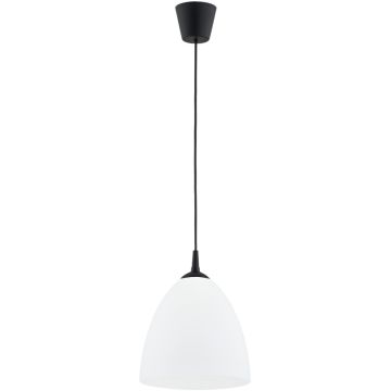 Alfa LERA 61466 Висяща лампа 1x15W/E27