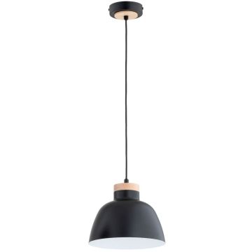 Alfa LORIEN 61317 Висяща лампа 1x15W/E27 IP20