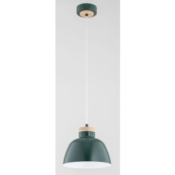 Alfa LORIEN 61328 Висяща лампа 1x15W/E27 IP20
