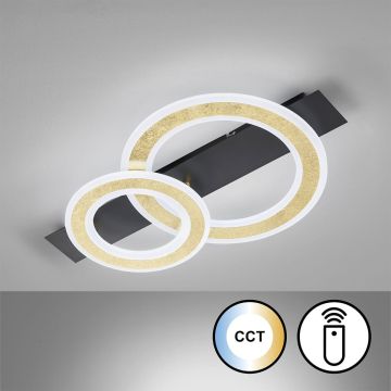 Fischer&Honsel Circle 21433 Таванен светилник 1x20W/LED 2700K 3100 lm IP20