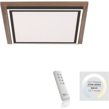 Paul Neuhaus PALMA 6141-79 Таванна лампа 2x50W/LED 2700-5000k 5100lm ip20