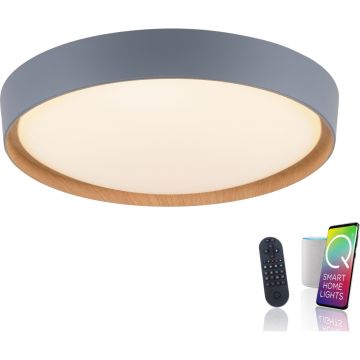 Paul Neuhaus Q-EMILIA 6118-15 Таванна лампа 1x40W/LED 2700-5000k 3720lm ip20