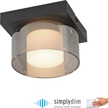 Paul Neuhaus RIKA 6162-18 Таванна лампа 1x6W/LED 3000k 680lm ip20