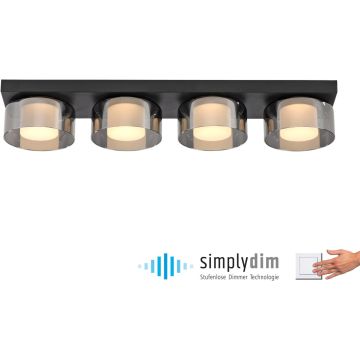 Paul Neuhaus RIKA 6164-18 Таванна лампа 4x24W/LED 3000k 3800lm ip20