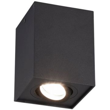 Trio BISCUIT 613000132 Повърхностно светило 1x35w/gu10 ip20