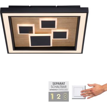 Paul Neuhaus ELIZA 6283-79 Таванна лампа 1x55W/LED 3000k 5760lm ip20